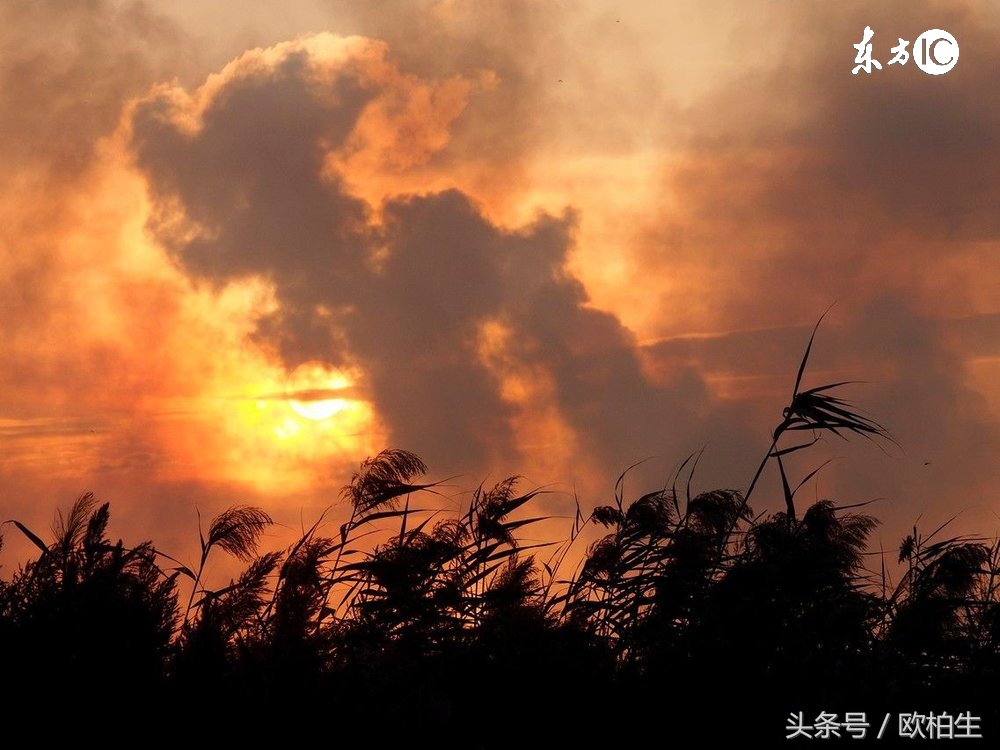 慢性荨麻疹中医辨证治疗方法,慢性荨麻疹怎么治才能去根