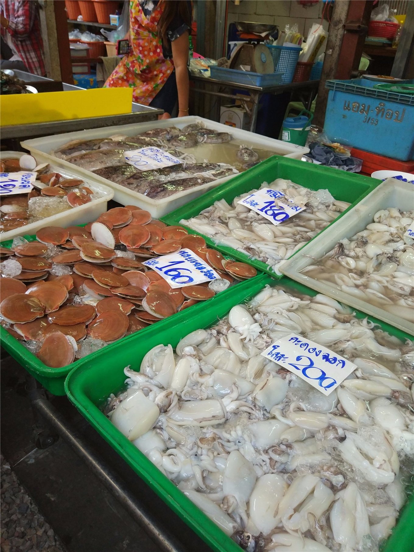 泰国清迈曼谷四日游攻略,说走就走的旅行港澳篇