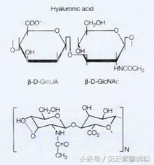 玻尿酸科普网红,微整形玻尿酸科普