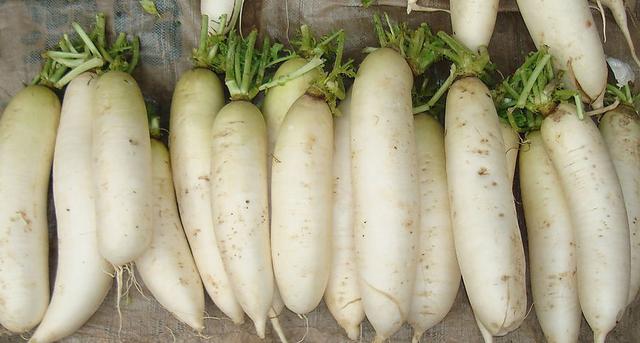 雾霾天气吃什么对身体好,预防雾霾应该吃什么