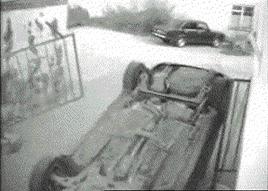 后面的那个小胖子，知道你很可爱，快走开我还要拍照呢！