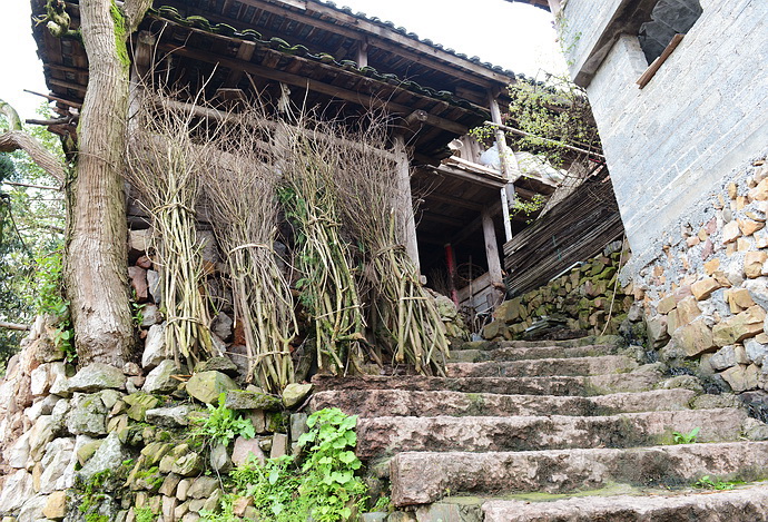 贵州原始古寨景点,贵州清静的古寨