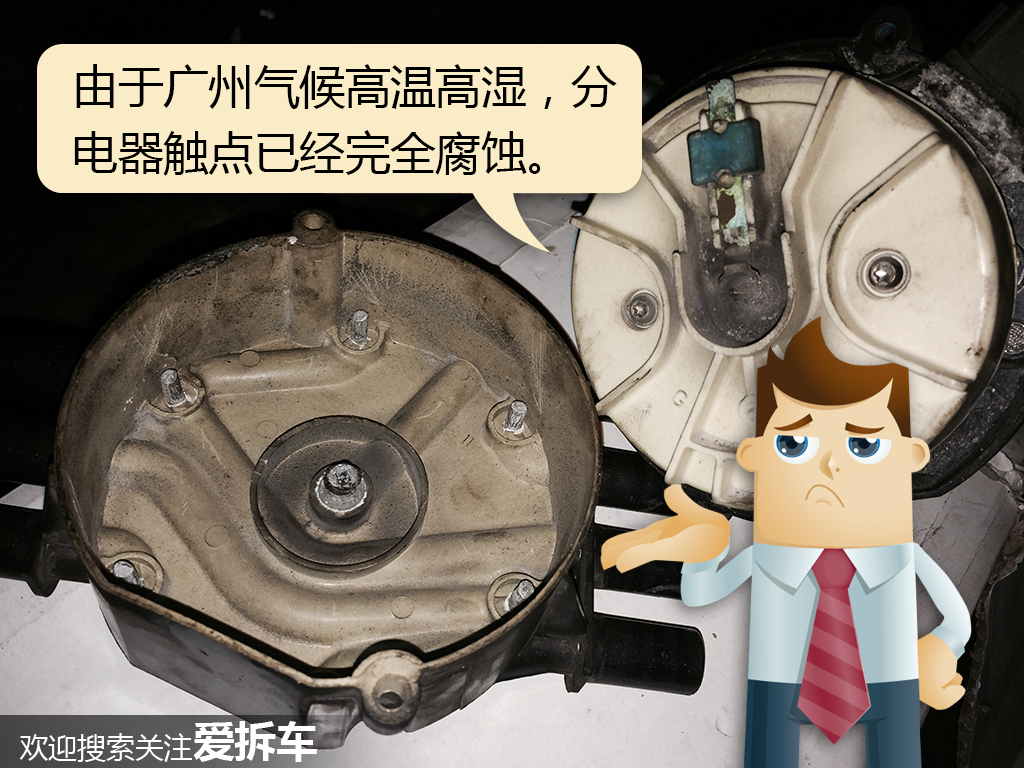 2万元二手车*藏西**行之路边买来一头“破驴”