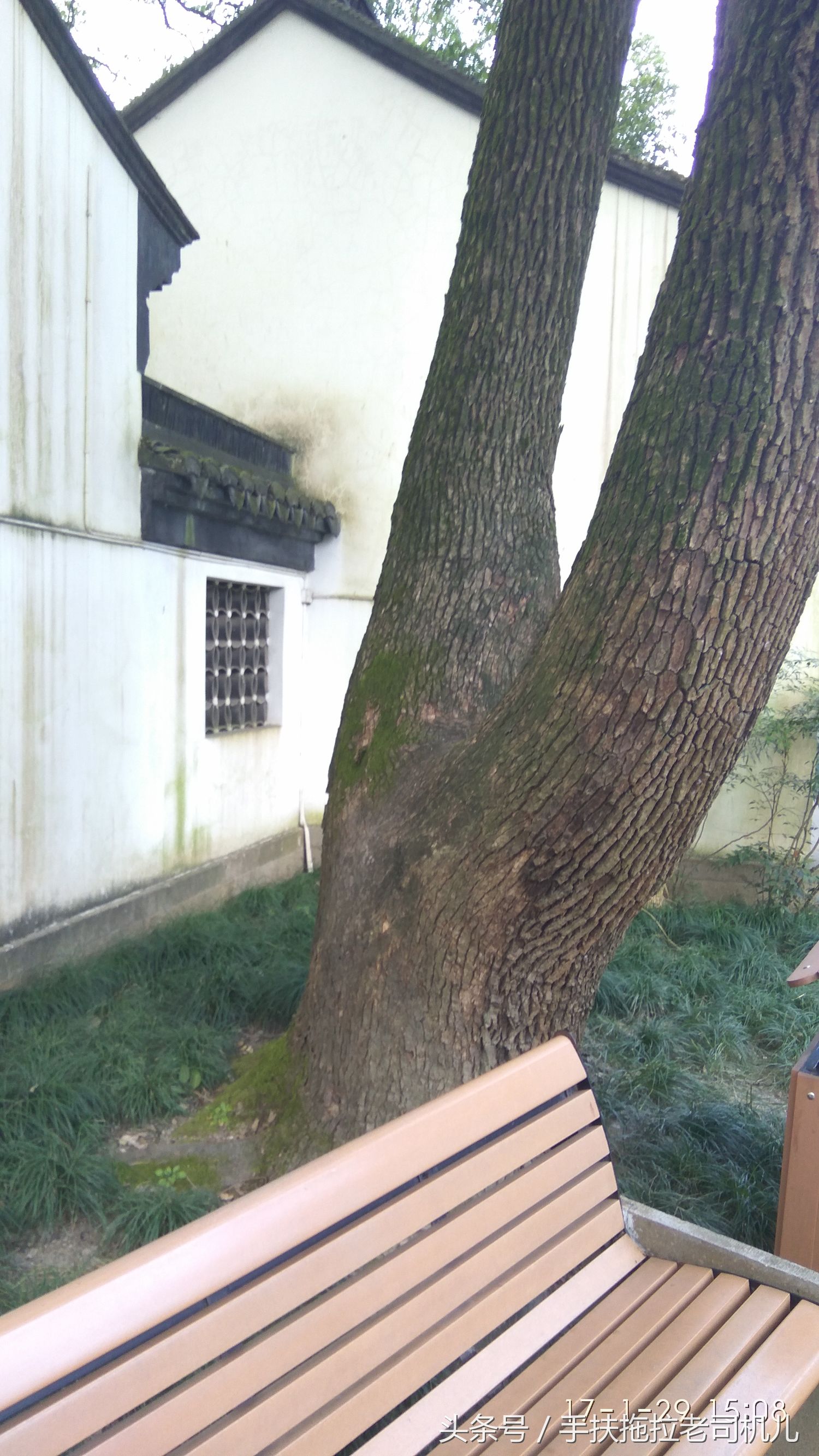 松江醉白池旅游攻略,松江醉白池免费时段