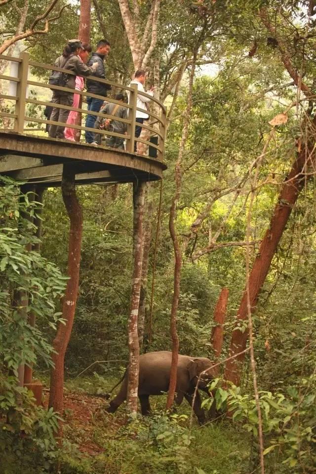 干货分享必读,干货探索与分享