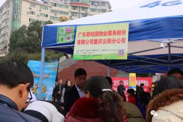 云阳公益性岗位招聘,云阳县2024年人才引进