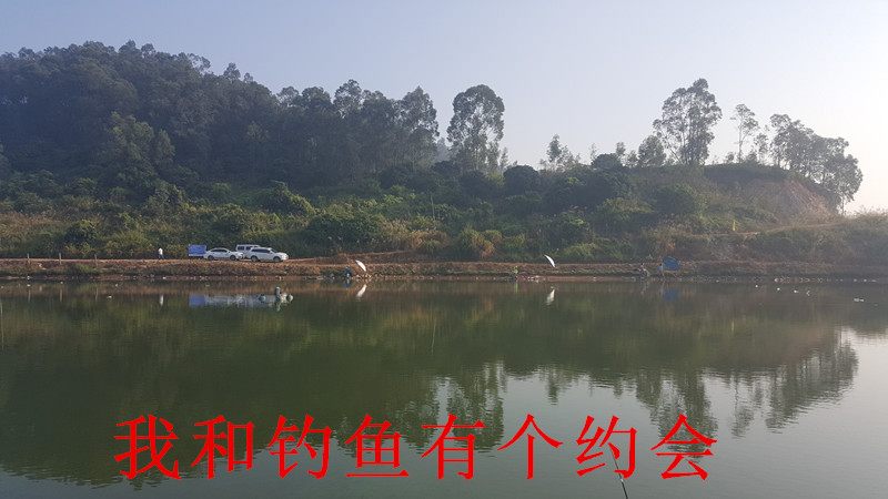 钓鱼鱼竿硬怎么遛鱼视频,鱼竿太软好不好钓鱼