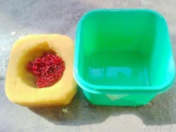 蚯蚓盒保存蚯蚓的方法,红虫蚯蚓粉的使用方法