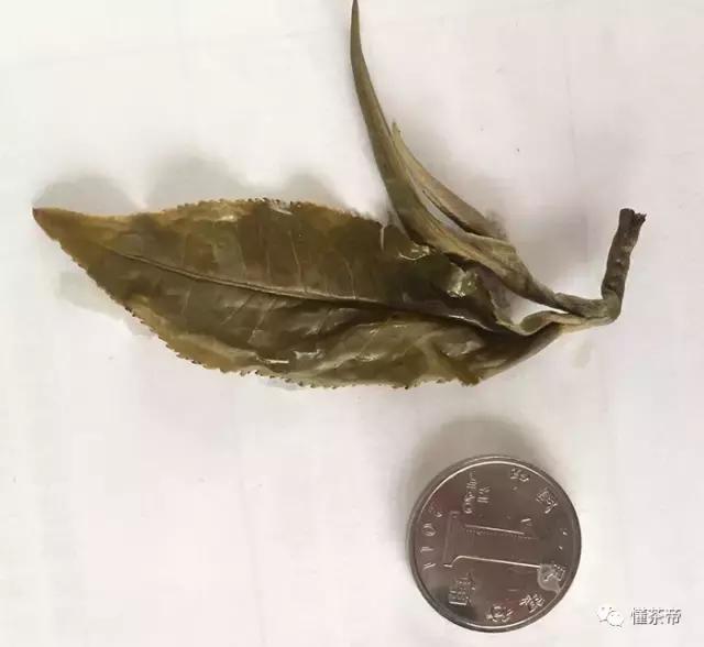 云南碧螺春价格一般是多少,云南碧螺春怎么泡最好