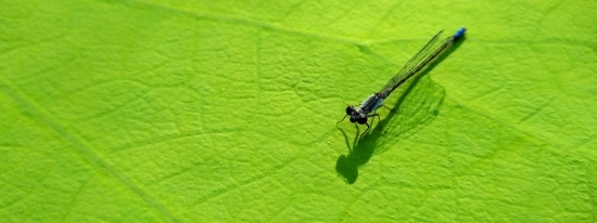 努比亚z11还能用吗,努比亚z11手机评测视频