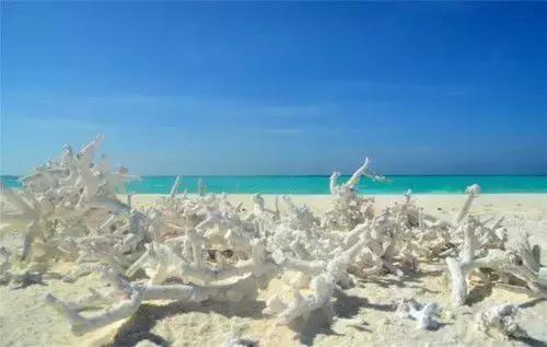 和孩子一起制定下一次旅行的计划,跟着语文书去旅行2020