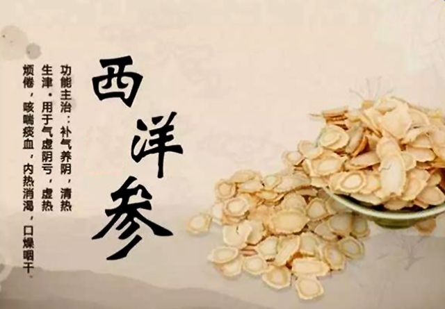 西洋参片泡茶功效,西洋参5大功效五种禁忌