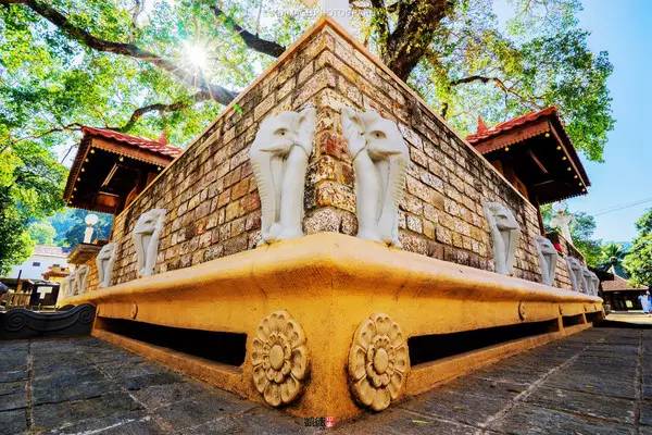 斯里兰卡十天自由行攻略,遇见斯里兰卡