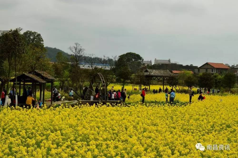 南昌出发最便宜的飞机票,南昌出发到哪里的机票最便宜