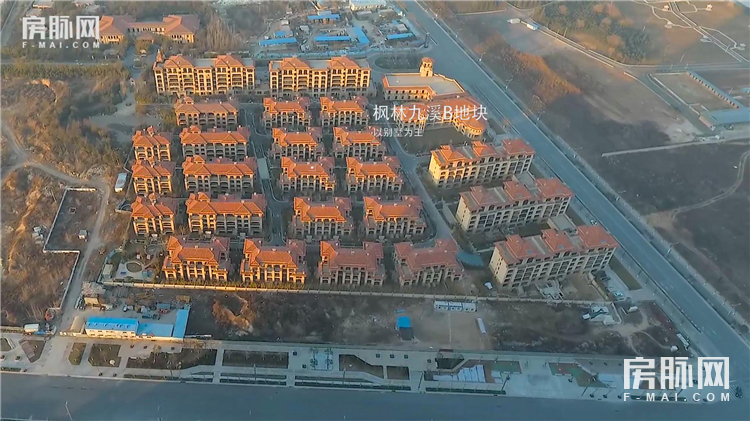 閱夌編鏋灄鍥剧墖,閱夌編鏋灄鍥剧墖澶у叏