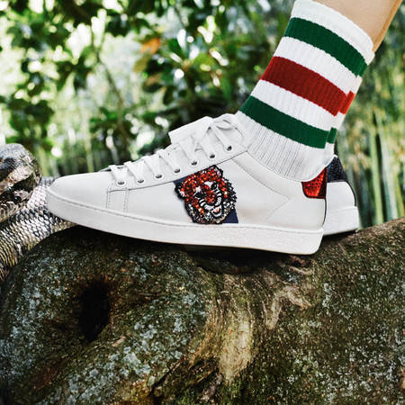 古驰小白鞋哪款最经典,gucci古驰tennis1977系列女士小白鞋