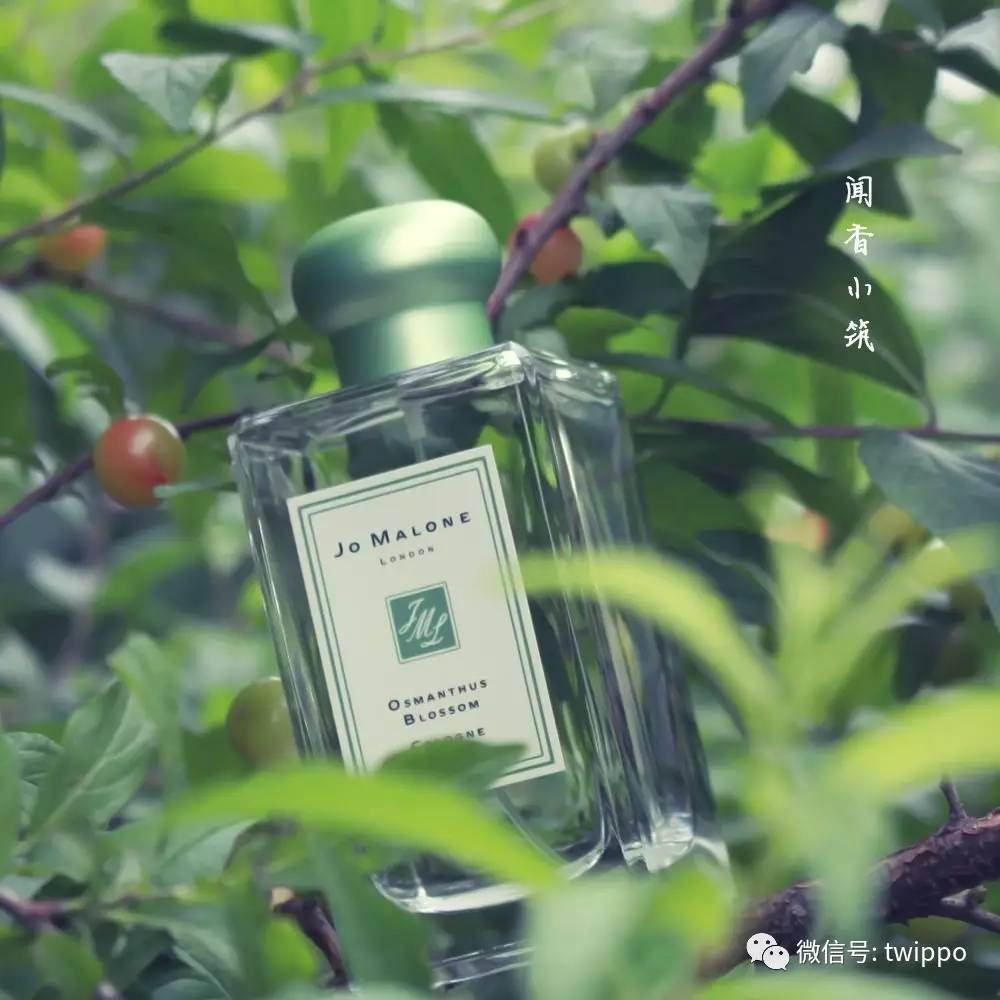 不用香水的女人没有未来英文,不用香水的女人身上有香味