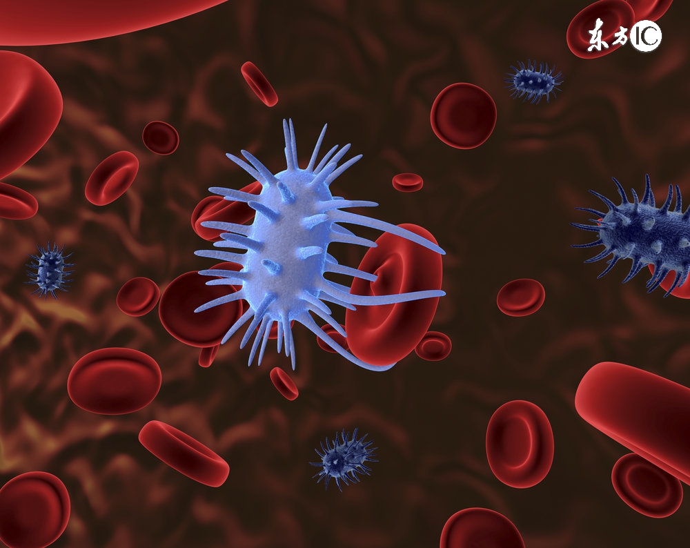 乙型肝炎病毒与艾滋病毒的差别,乙肝病毒和抗乙肝病毒