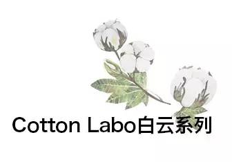 化妆棉推荐第一名,口碑最好的化妆棉排名