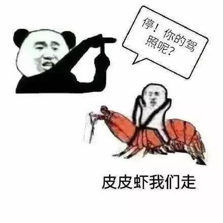 皮皮虾，我们走，为我们的车主保养去！
