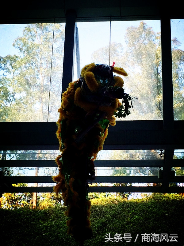 新店开业请舞狮讲究有哪些,醒狮队请财神