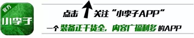 毒蜂3哪年的鞋,毒蜂球鞋全系列