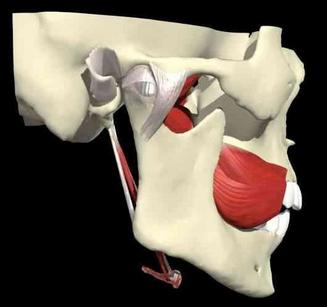 颞下颌关节紊乱综合征的康复治疗,颞下颌关节紊乱挂哪个科室比较好