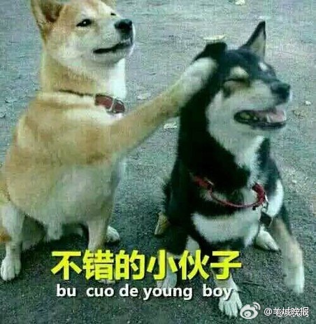 男子买错机票班次改签,男子误抢特价机票后退票