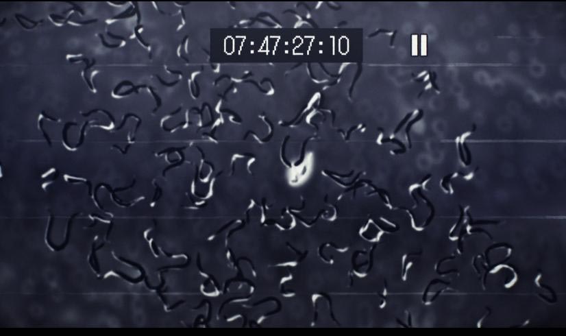 《噬神者》：骨灰粉？这些庞大的背景知识，你都了解了吗？