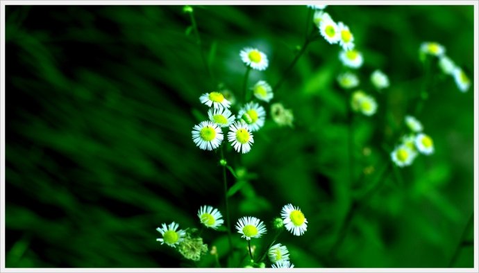 卡尔蔡司经典的50mmf1.4,卡尔蔡司镜片1.56和1.67