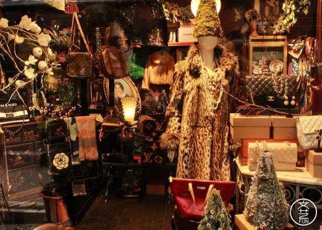 我们和郑州的海龟聊了聊，发现他们的生活不过如此