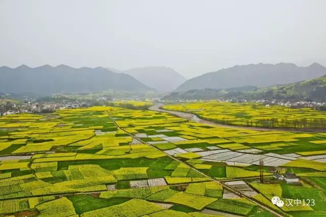 2018汉中油菜花旅游攻略,2024汉中油菜花自驾游攻略