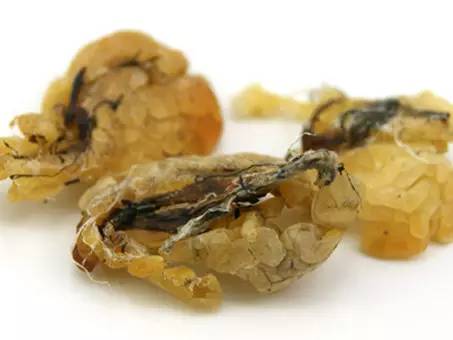 木瓜女生为什么喜欢吃,木瓜炖雪蛤的雪蛤是什么