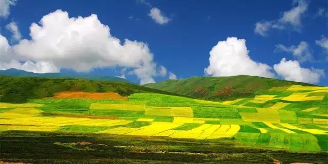 2018汉中油菜花旅游攻略,2024汉中油菜花自驾游攻略