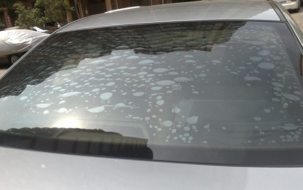 最强版本贴膜,贴膜秘籍汽车