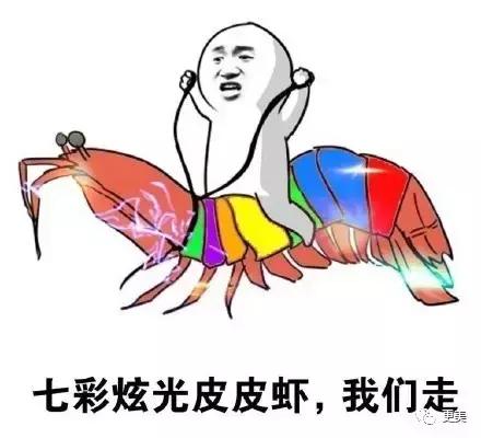 韩安冉谈家暴,韩安冉家暴被曝光