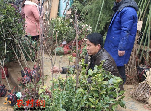 农村创业赚钱,适合50-60岁创业项目农村