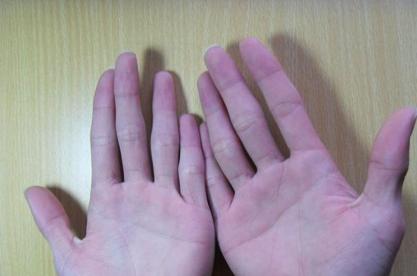 五观堂讲解手相,手相宝库第四讲