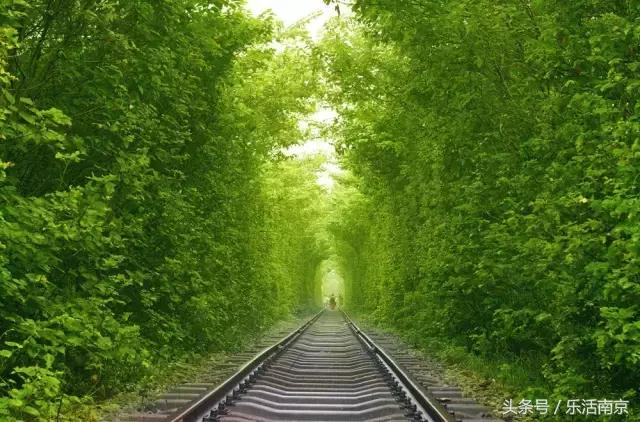 南京踏青赏梅乐享春光,赏梅园