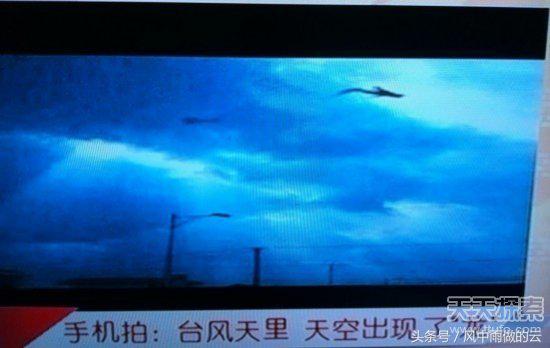 龙存在的证据大全,古代龙真实存在吗