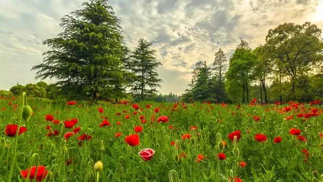 上海各条地铁线沿途景点大全,上海最惊艳的地铁路线