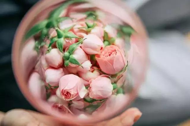 nars在哪买才是正品,nars好用单品