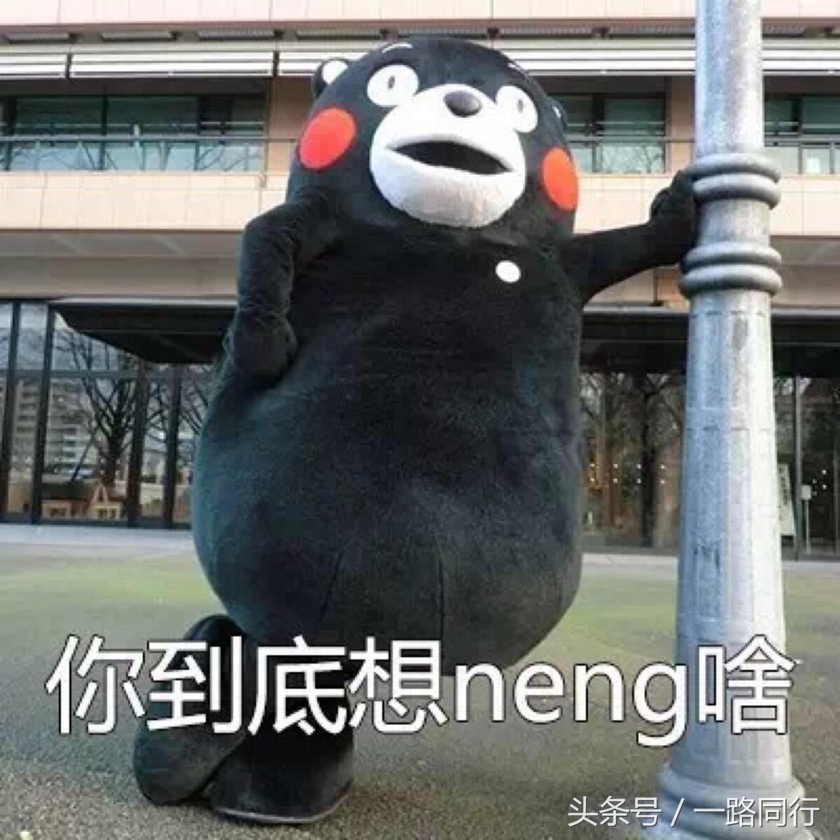 旅游如何做到互相尊重,旅游被区别对待