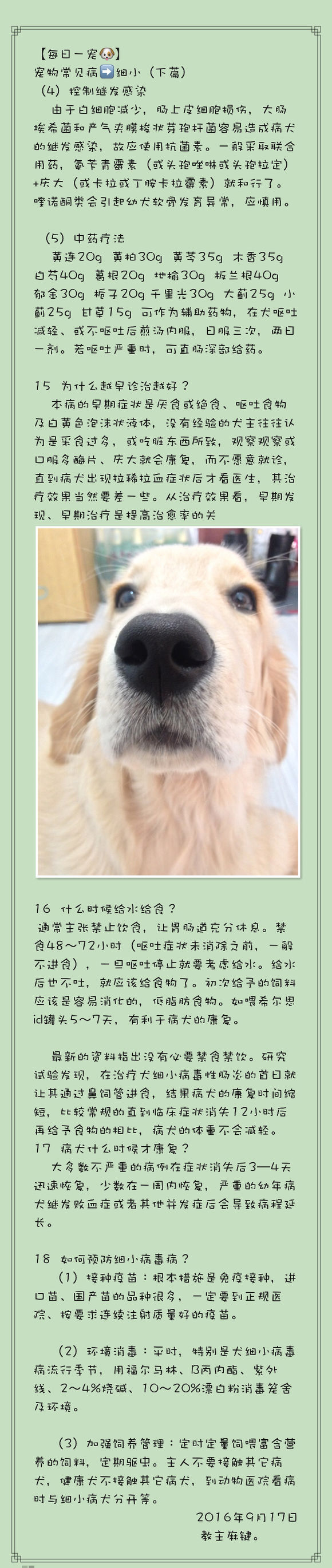 宠物腹泻科普知识,宠物腹泻是什么原因导致的