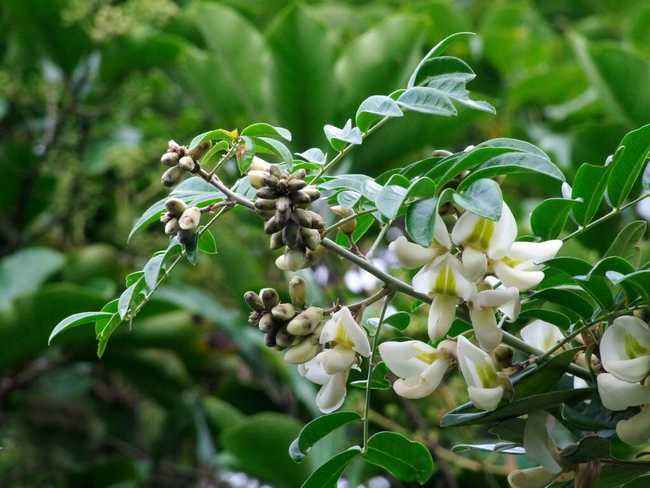 强筋健骨治腰肌劳损,腰肌劳损是不是要强筋健骨