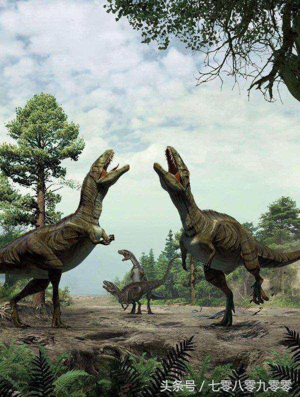 动物求偶记,动物求偶表现大全