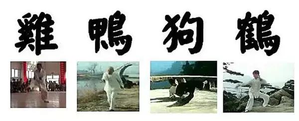 为了让你们捶胸口，我收集了所有的拳法