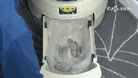 粗大事啦！铲屎界变天啦！