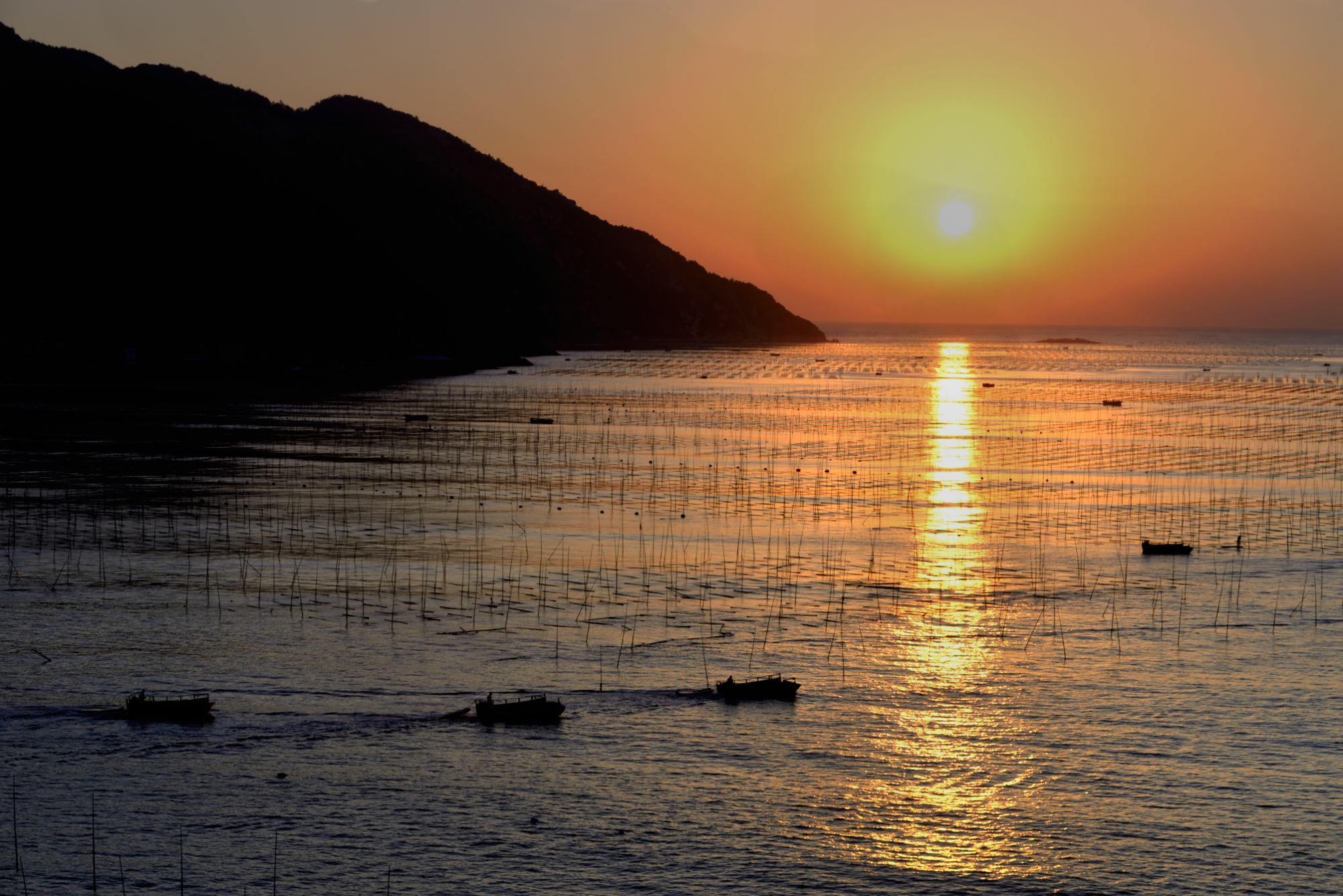 阴天霞浦北岐滩涂照片,霞浦北岐滩涂日出攻略