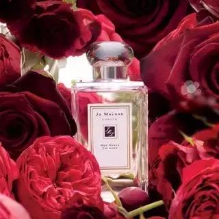 玫瑰控｜想把所有护肤日用品都换成玫瑰香味的，宛若走在*瑰园玫**中